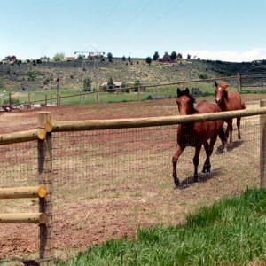 © Copyright 4 Corners Fencing, llc