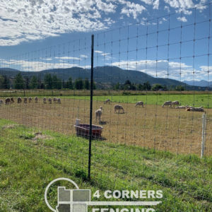 8 foot tall pressure treated and steel posts with high tensile, woven wire. This fence was built to protect a vegetable garden from deer and elk and also to protect livestock. <br/>© Copyright 4 Corners Fencing, llc