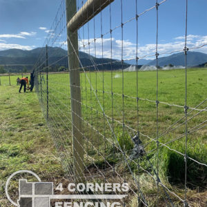 8 foot tall pressure treated and steel posts with high tensile, woven wire. This fence was built to protect a vegetable garden from deer and elk and also to protect livestock. <br/>© Copyright 4 Corners Fencing, llc
