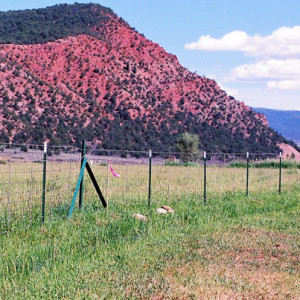 © Copyright 4 Corners Fencing, llc