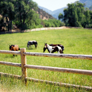 © Copyright 4 Corners Fencing, llc