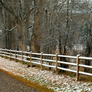 © Copyright 4 Corners Fencing, llc