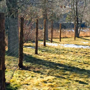 © Copyright 4 Corners Fencing, llc