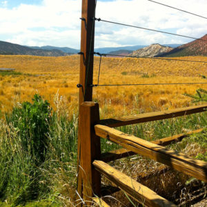 © Copyright 4 Corners Fencing, llc