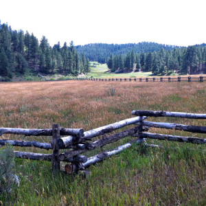 © Copyright 4 Corners Fencing, llc