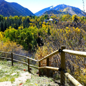 © Copyright 4 Corners Fencing, llc