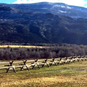 © Copyright 4 Corners Fencing, llc