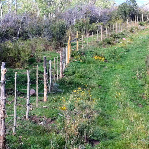 © Copyright 4 Corners Fencing, llc