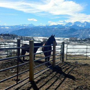 © Copyright 4 Corners Fencing, llc