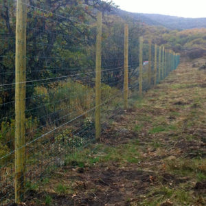 © Copyright 4 Corners Fencing, llc