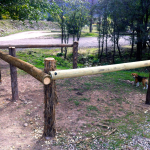 © Copyright 4 Corners Fencing, llc