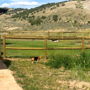 © Copyright 4 Corners Fencing, llc