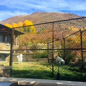 © Copyright 4 Corners Fencing, llc