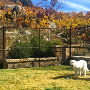 © Copyright 4 Corners Fencing, llc