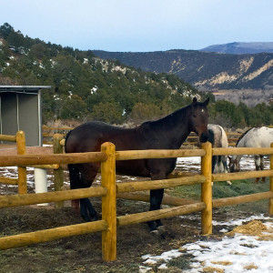 © Copyright 4 Corners Fencing, llc