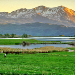 © Copyright 4 Corners Fencing, llc